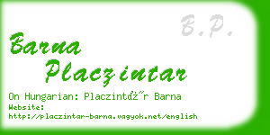 barna placzintar business card